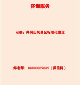 /标准化建设咨询服务